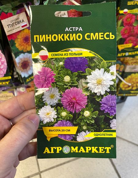 астра смесь Пиноккио